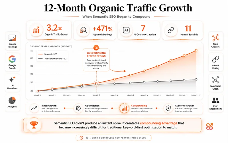 12 month SEO performance overview